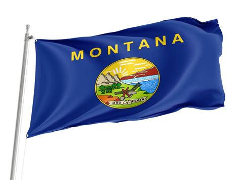 Montana State Flag, Patriotic Flags, Unique Design Print, USA States ...