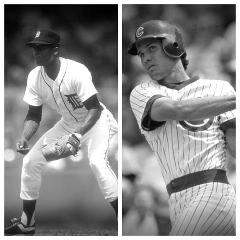 Lou Whitaker vs Ryne Sandberg Stats Comparison | Career Head to Head