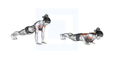 Close Grip Push Up - Guide, Benefits, and Form