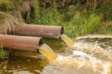 How to Clean Up Sewage Water