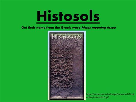 PPT - Histosols PowerPoint Presentation, free download - ID:1946112