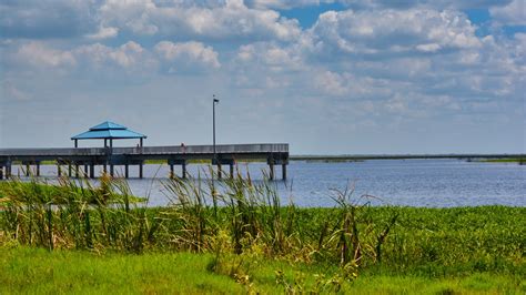 Betts Recreation Area, Lake Okeechobee Scenic Trail – Florida Hikes