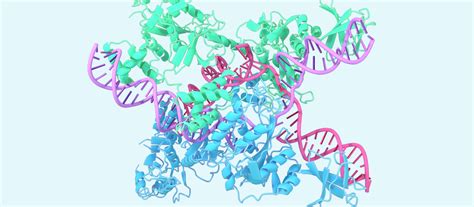 DeepMind發布新版AlphaFold模型，能夠精準預測生物分子結構加速藥物開發 | iThome