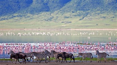 Discover the Ngorongoro Crater | Intact Caldera | andBeyond