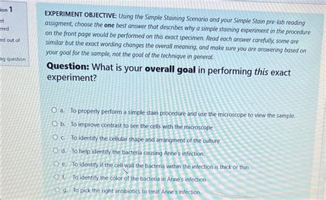 Solved EXPERIMENT OBJECTIVE: Using the Simple Staining | Chegg.com