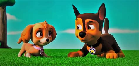 Chase X Skye | Paw Patrol Relation Ship Wiki | Fandom | Skye paw patrol, Chase paw patrol, Paw ...