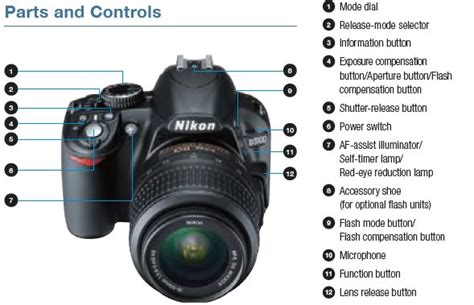 Nikon d3100 review jun 2016