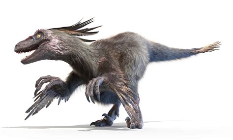 9 Dinosaurs With Feathers - WikiPoint - Wiki Point