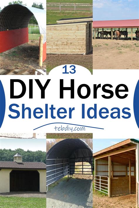 13 Free DIY Horse Shelter Ideas - Teb DIY