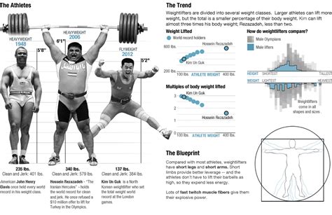 powerlifting records by weight class uk - Annmarie Alger