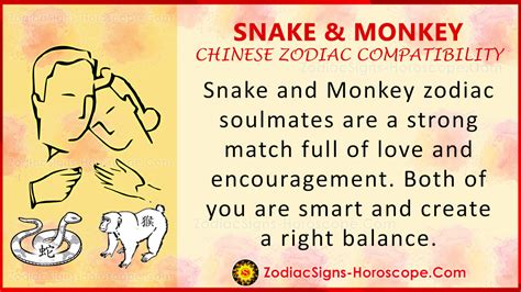 Snake and Monkey Chinese Zodiac Compatibility: Love and Relationship