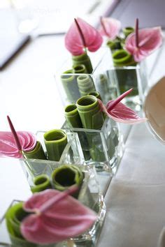 19 Anthurium ideas | anthurium, flowers, cut flowers