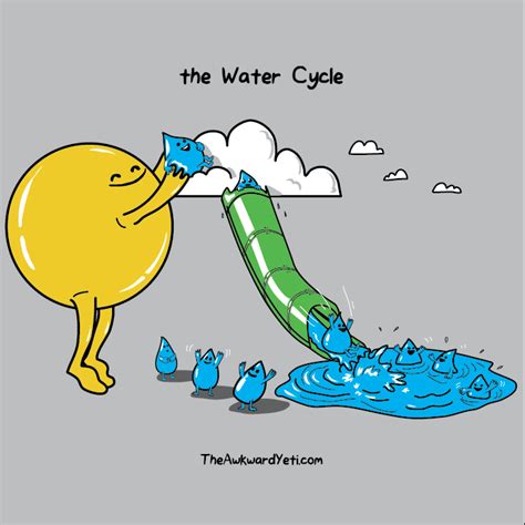 Miss Walpoles Classroom: The Water Cycle