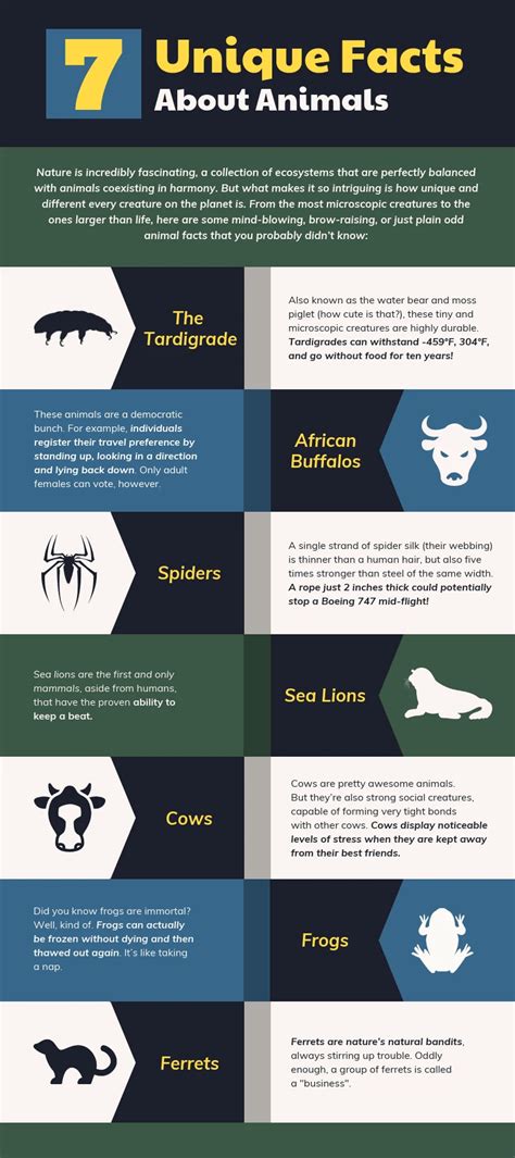 7 Unique Facts About Animals Infographic Template - Venngage