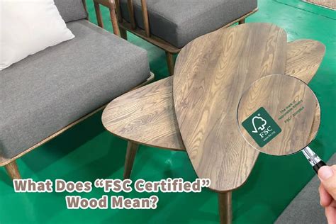 What Does "FSC Certified" Wood Mean? | Mondoro