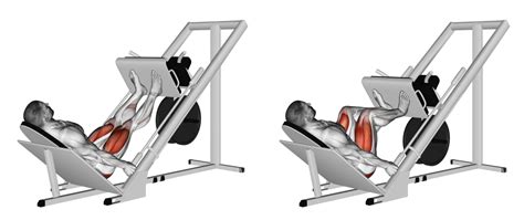 vertical leg press machine benefits - Verlene Thornhill