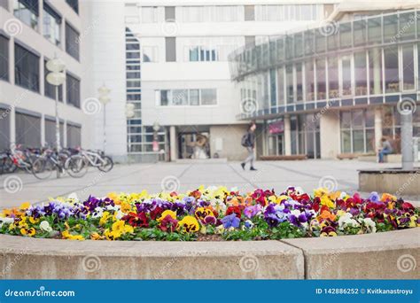 Friedrich Schiller University in Jena, Germany. Famous German High School Stock Photo - Image of ...