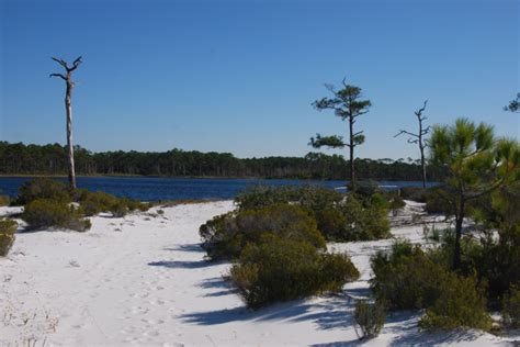 Topsail Hill Preserve Hiking Trails | Florida Hikes!