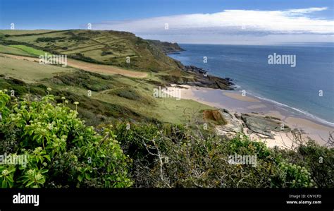 A beach in the South Hams district of Devon Stock Photo - Alamy