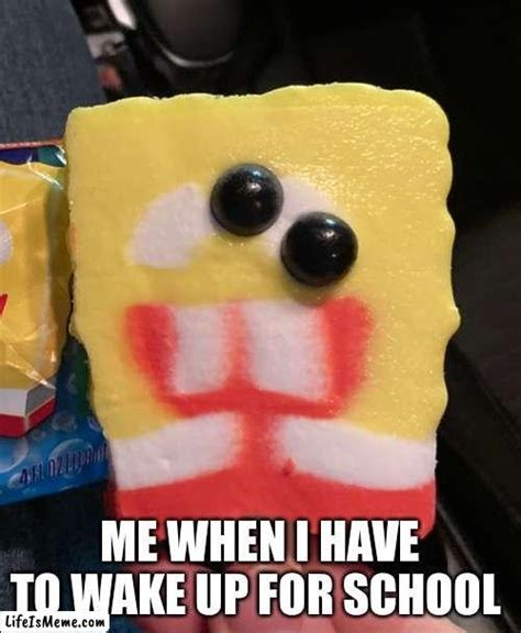 SpongeBob popsicle school - LifeIsMeme