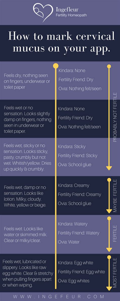 All you need to know about cervical mucus. | Ingefleur Fertility Homeopath