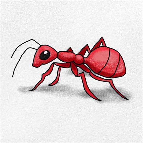 25 Easy Ant Drawing Ideas - How to Draw an Ant