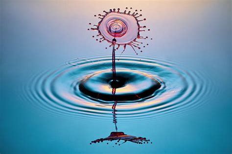 DIY Water Drop Photography | Water drop photography, Water droplets photography, Photography guide