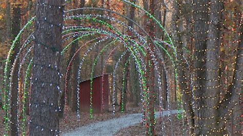 PHOTOS | McLaurin Farms Christmas Light Show | wfmynews2.com