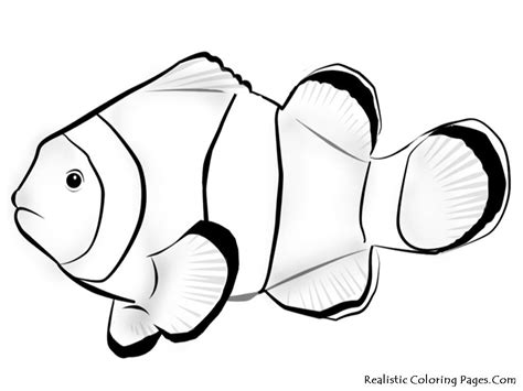 Nemo Fish Coloring Pages | Fish coloring page, Animal coloring pages, Fish template