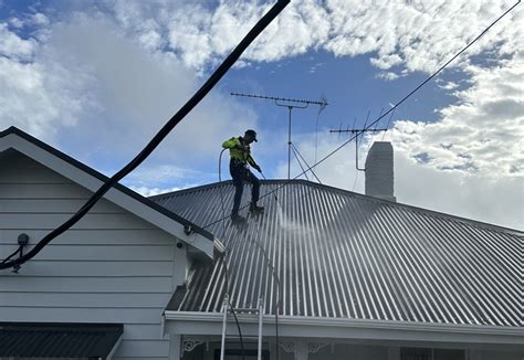 Roof moss and mould Removal and biocide treatment services