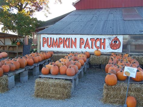 The Allen Family - Austin, Carrie and Hadley: Fashion Farm Pumpkin Patch