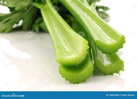 Fresh Celery Stems Stock Images - Image: 19852424