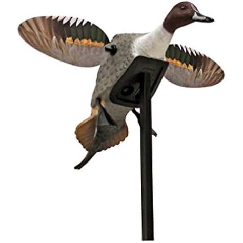 Amazon.com: duck motion decoys