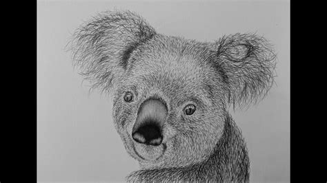 How To Draw A Koala Bear Step By Step - YouTube | Koala drawing, Bear art, Koala illustration