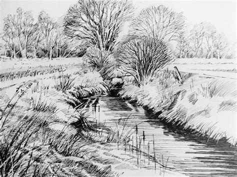 Trees in the Landscape 2. 2015. Pen & Ink. Glyn Overton. | Landscape sketch, Landscape drawings ...
