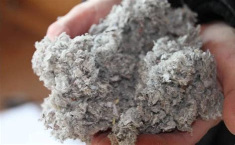 What Exactly Is Cellulose Insulation? - Oliver Heating & Cooling