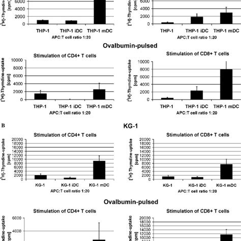 Morphology of (A) THP-1 cells (THP-1) and THP-1-derived immature (THP-1 ...