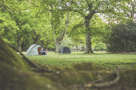 Brockenhurst Camping | Campsites in Brockenhurst, New Forest