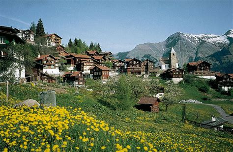 Tschiertschen – Ochsenalp – Arosa • Hiking Route » outdooractive.com