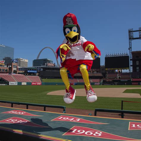 Meet Fredbird the Cardinals Mascot | St. Louis Cardinals