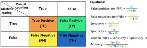 Confusion matrix and performance equations. The confusion matrix... | Download Scientific Diagram