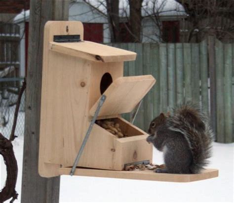 Squirrel feeder plans | Squirrel feeder diy, Squirrel feeder, Squirrel feeders