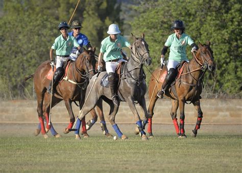 What Horses Are Used For Polo? 4 Popular Polo Pony Breeds.