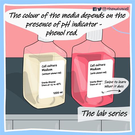 Phenol red in cell culture medium — The Naive Cell