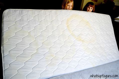 How To Get Pee Stain Out Of Foam Mattress