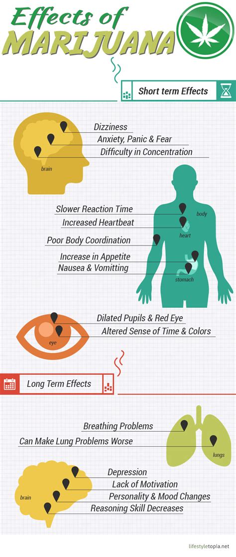 Effects of Marijuana [Infographic] - Lifestyletopia