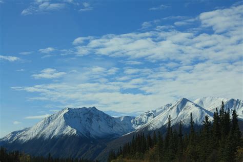 Mays' Missive: Denali and Denali Highway