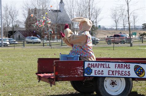 Spring Festival - Chappell Farms