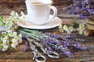 Chamomile Lavender Tea: Benefits and Side Effects | Chinese Teas 101