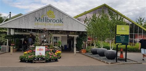 Outdoor Plants - Millbrook Garden Centre